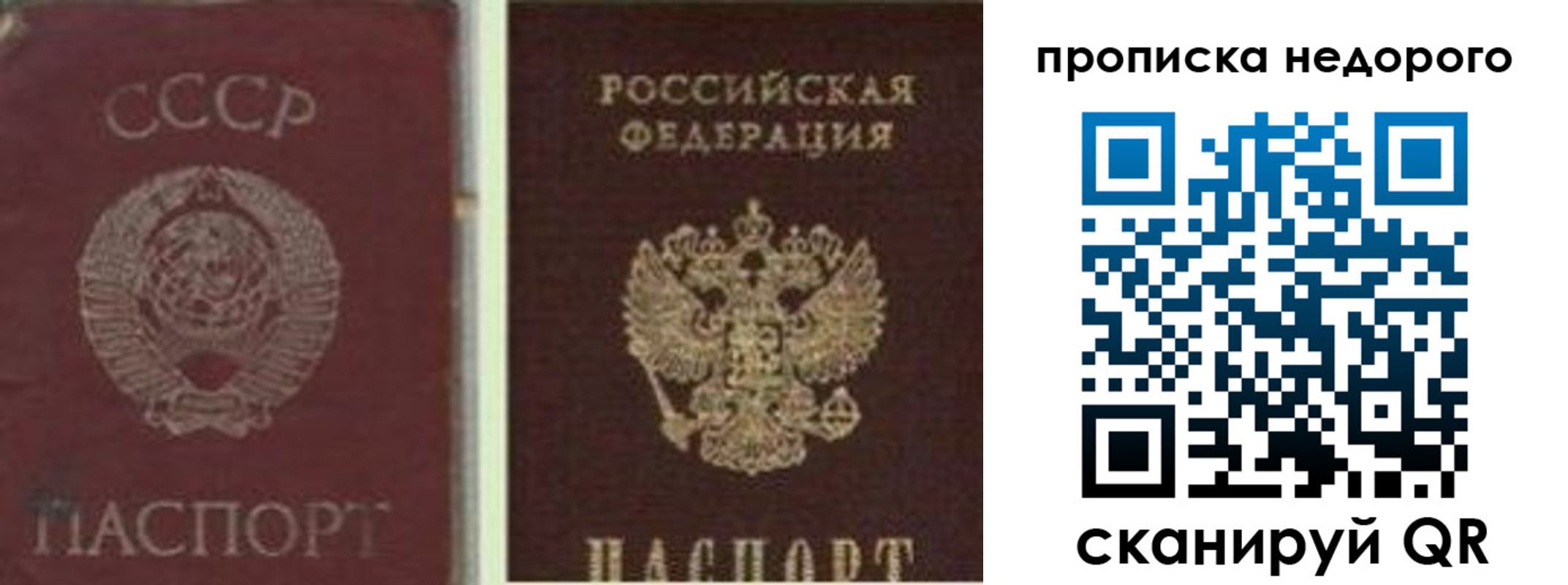 временная регистрация поиск в Жуковском